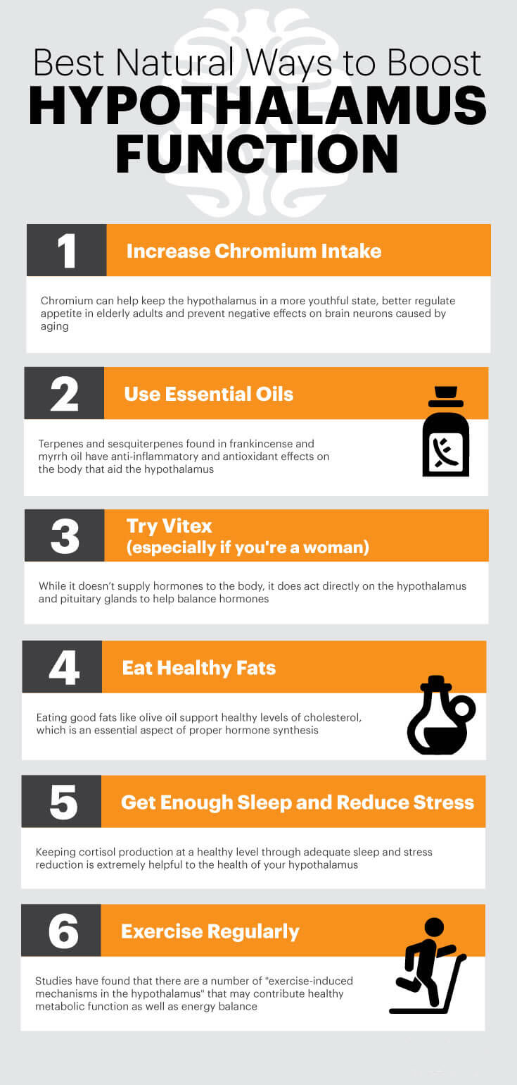 Best natural ways to boost hypothalamus function MKexpressnet
