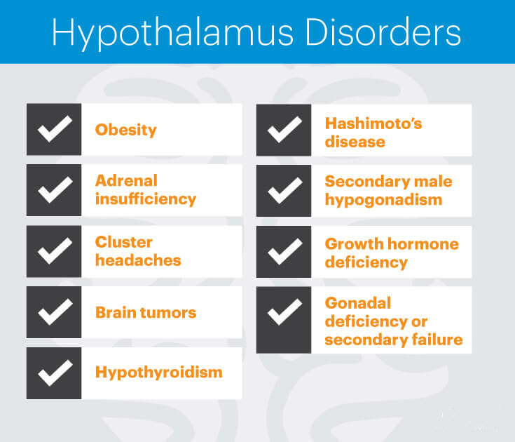 Hypothalamus disorders MKexpressnet