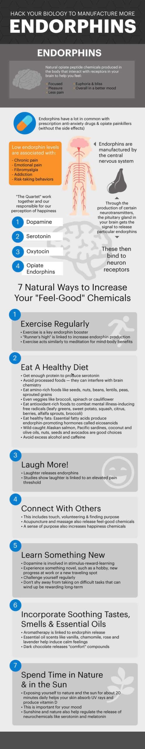 What are endorphins infographic