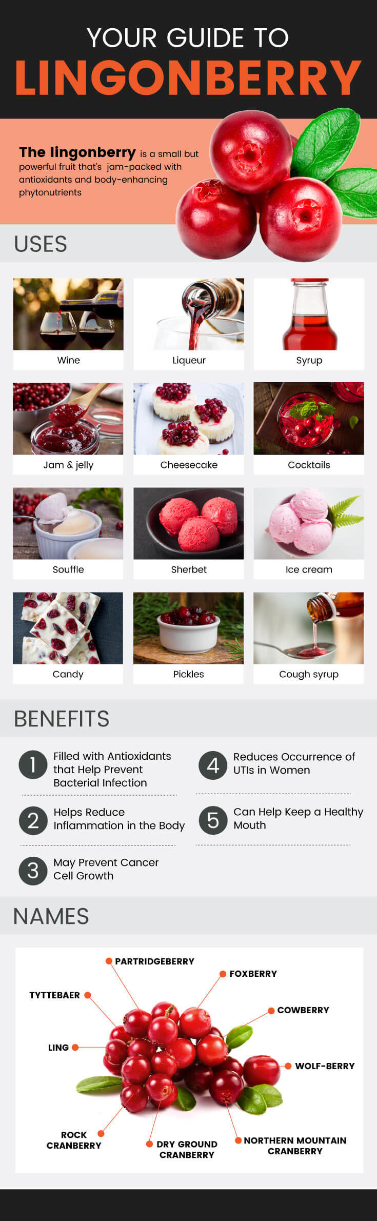 Lingonberry guide - MKexpress.net