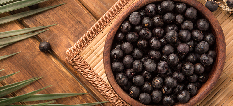 Acai berry - MKexpress.net