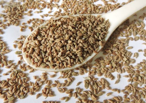 Ajwain Seeds and Benefits MKexpressnet