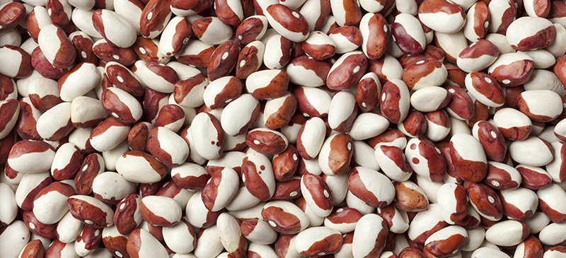 Anasazi beans