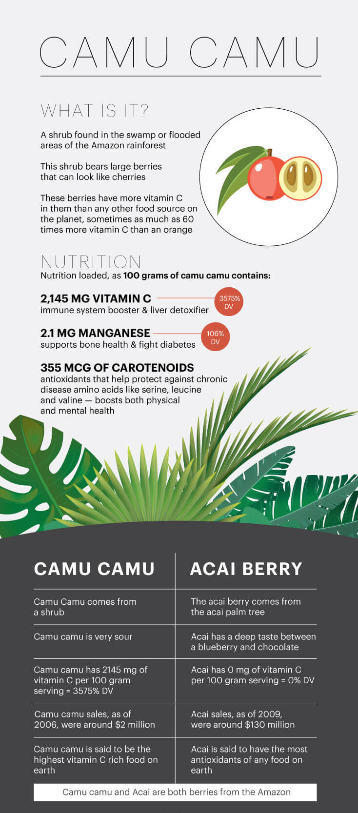What is camu camu? - MKexpress.net