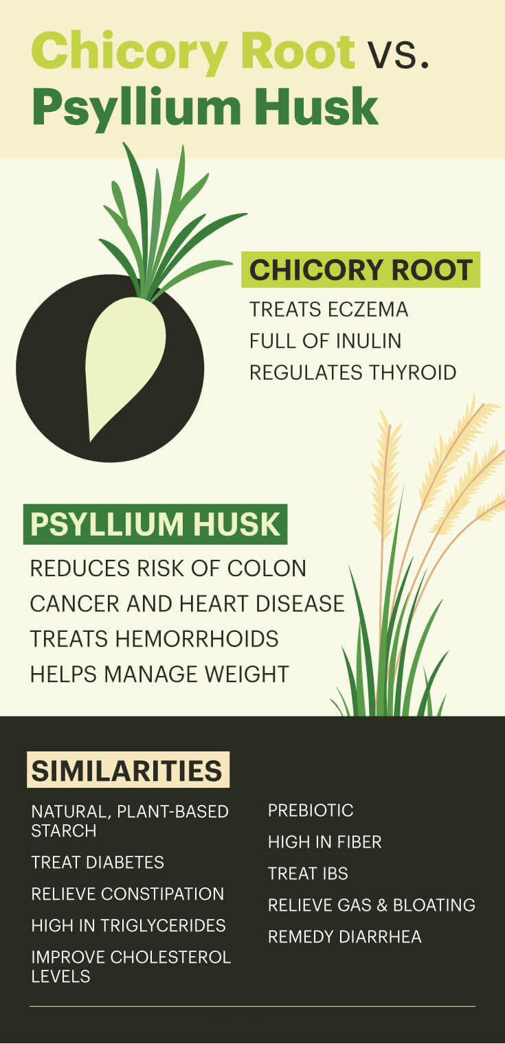 Chicory root vs. psyllium husk