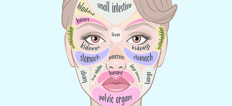 Face mapping - MKexpress.net