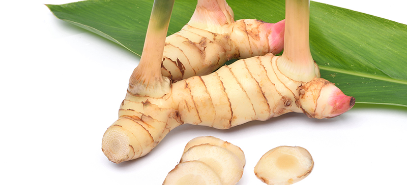 What is galangal MKexpressnet