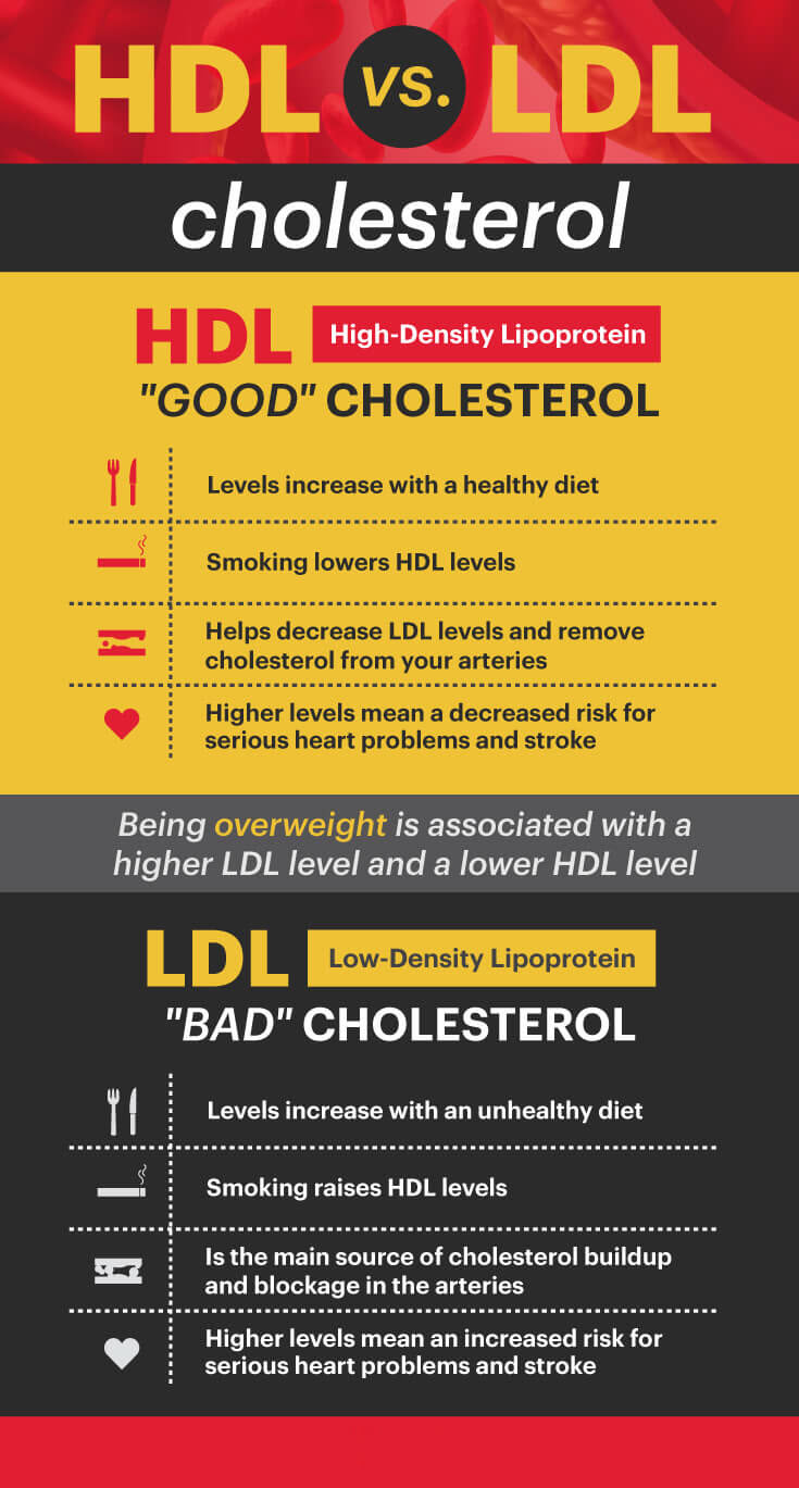 HDL cholesterol vs. LDL cholesterol - MKexpress.net