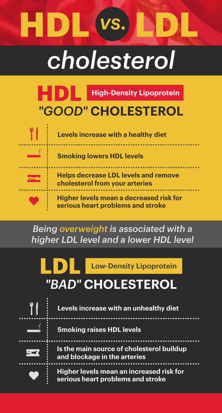 HDL cholesterol vs LDL cholesterol MKexpressnet