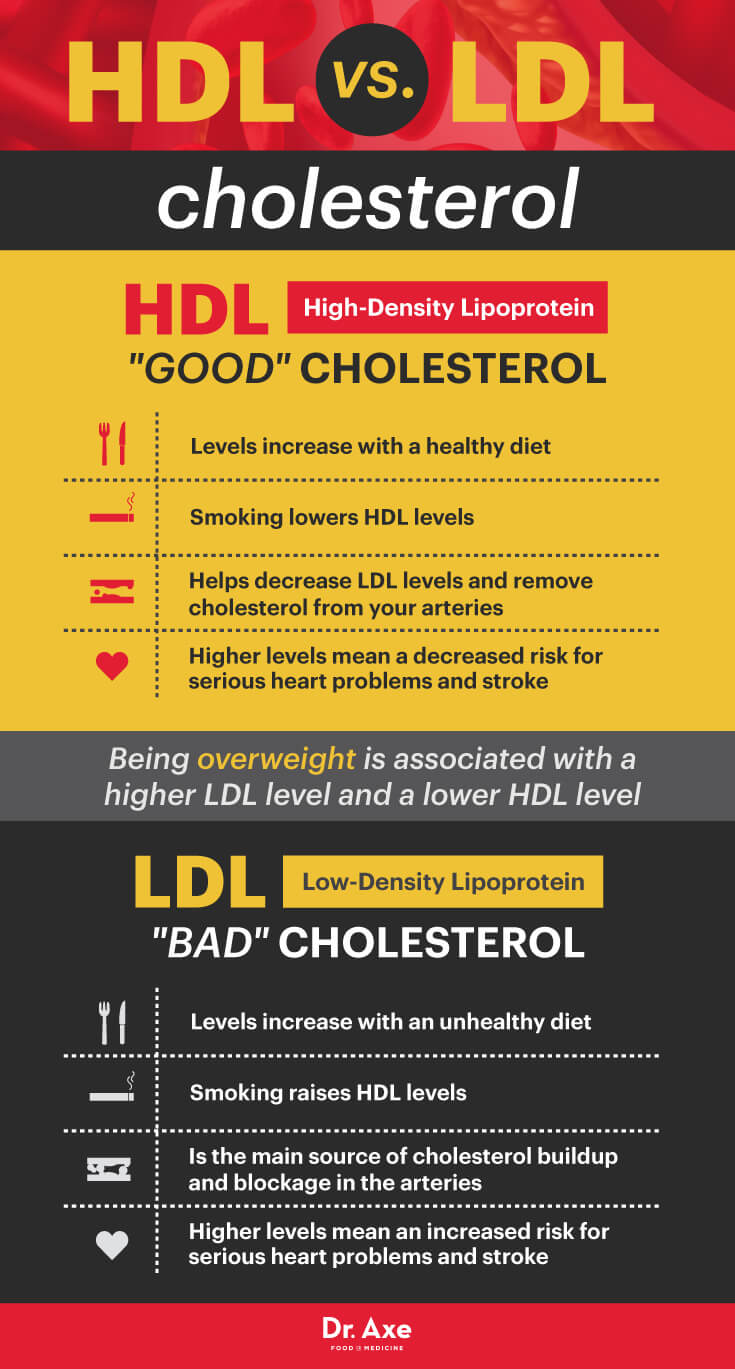 HDL cholesterol vs. LDL cholesterol - Dr. Axe