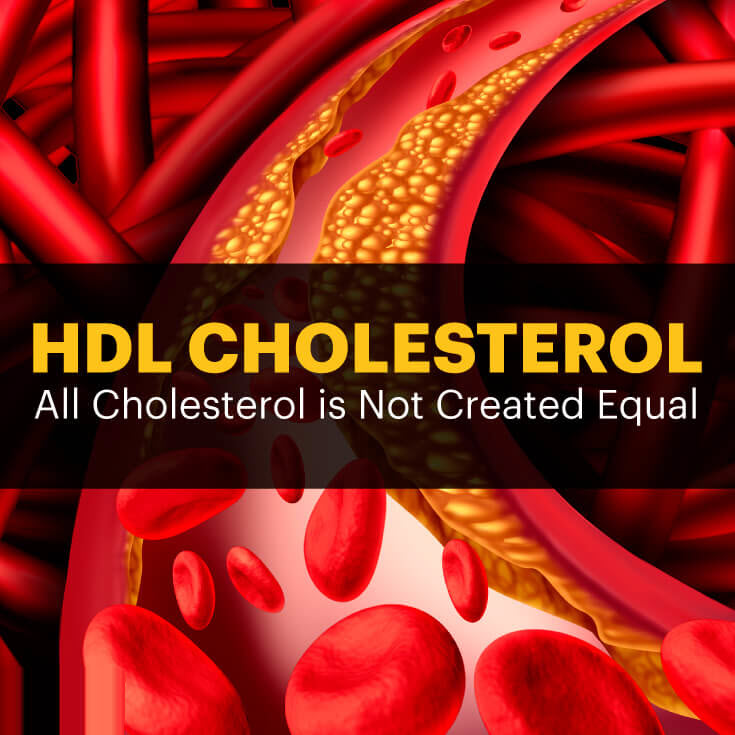 HDL cholesterol - MKexpress.net