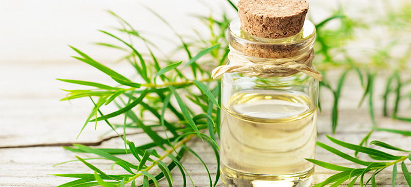 Tea tree oil for acne MKexpressnet