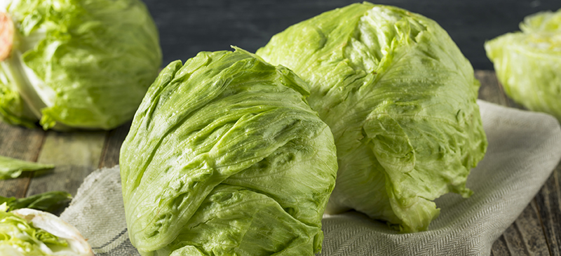 Iceberg lettuce - MKexpress.net