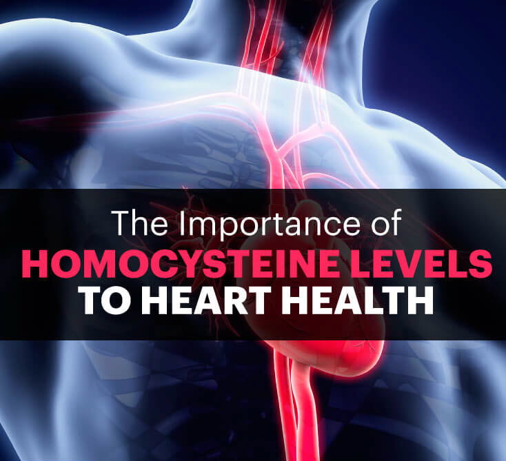 Enhance Your Homocysteine