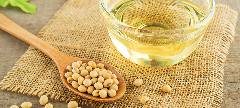 Is soybean oil bad for you MKexpressnet