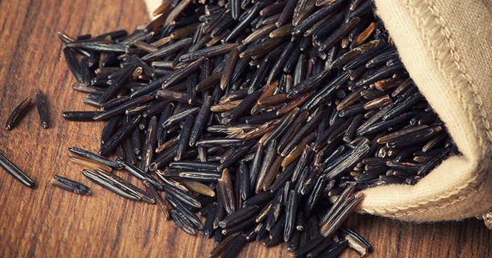 Is Wild Rice the Best Rice of All? Learn How to Cook Is Wild Rice the Best Rice of All