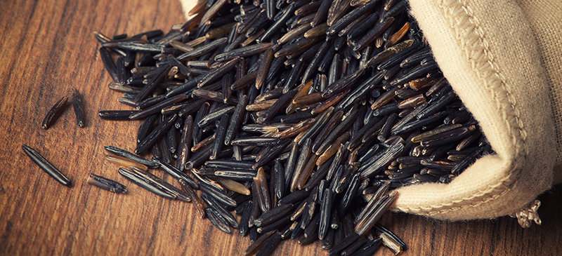 Wild rice MKexpressnet