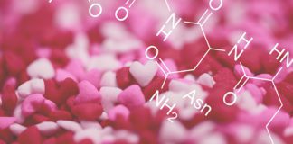 Oxytocin (The Love Hormone): Benefits + How to Increase Levels Oxytocin - MKexpress.net