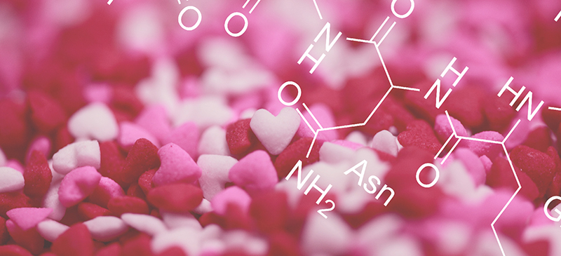 Oxytocin - MKexpress.net