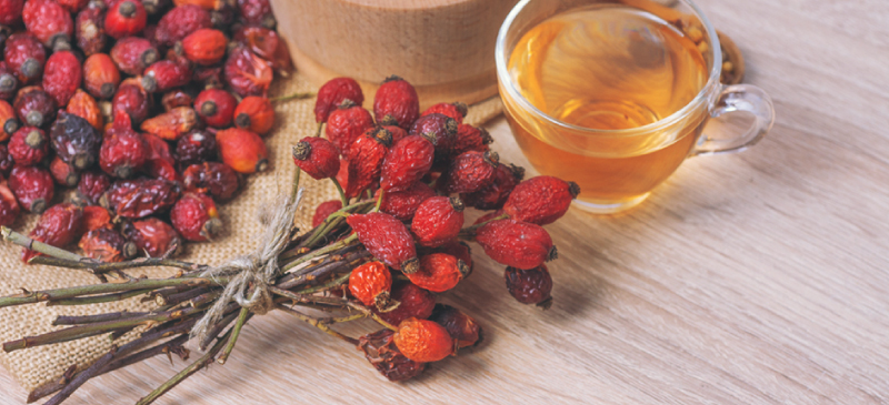 Rosehip oil MKexpressnet