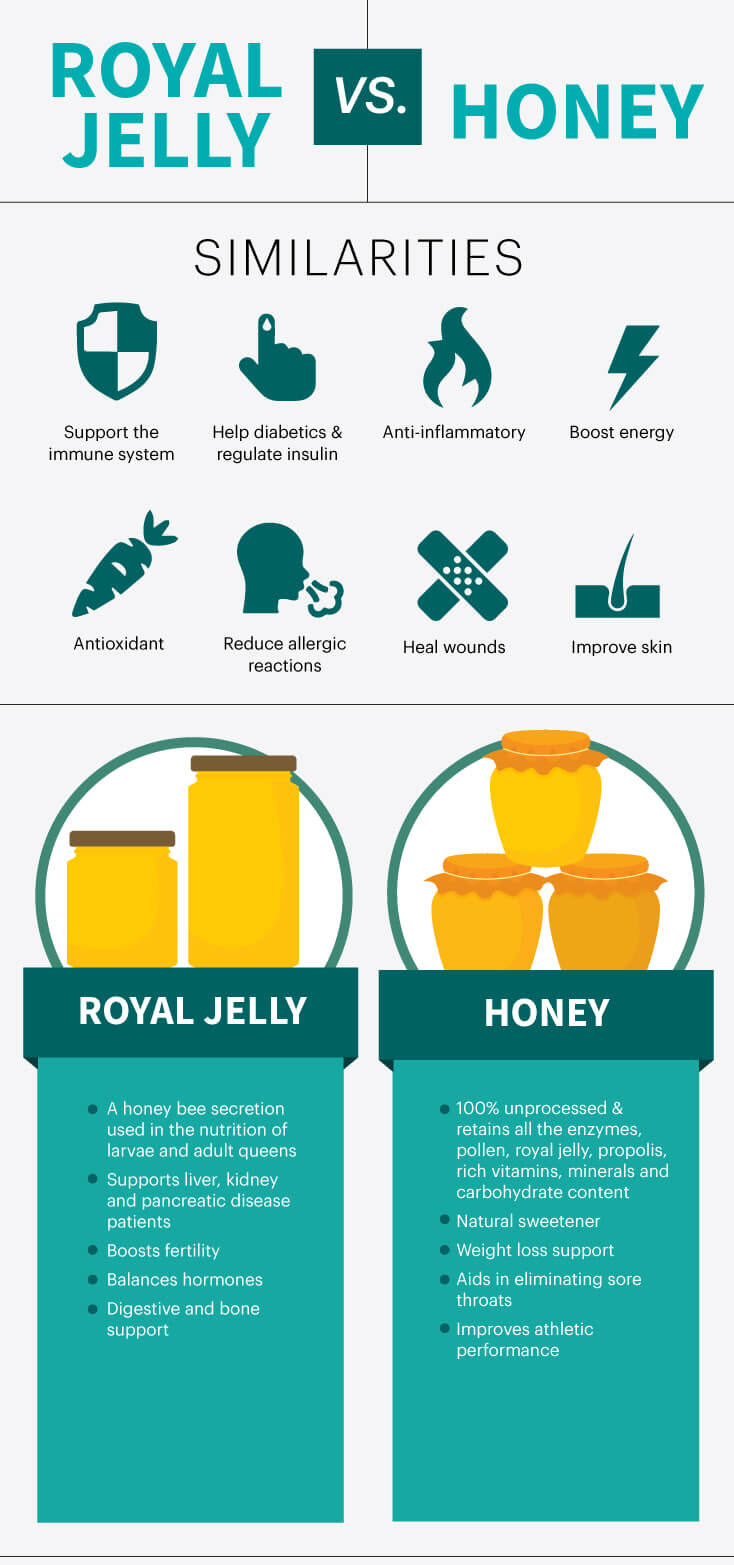 Royal jelly vs. honey - MKexpress.net