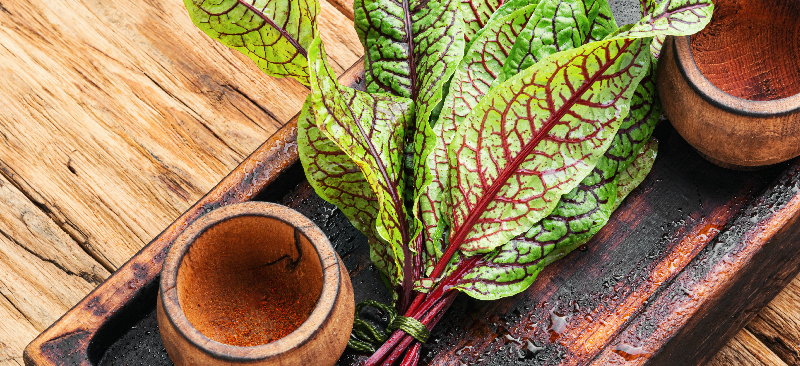 Sorrel - MKexpress.net