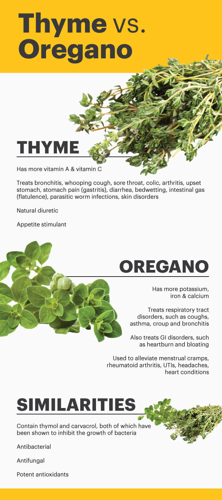 Thyme vs oregano