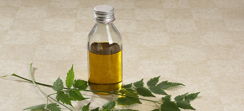 Neem oil - MKexpress.net