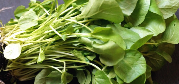 Watercress benefits