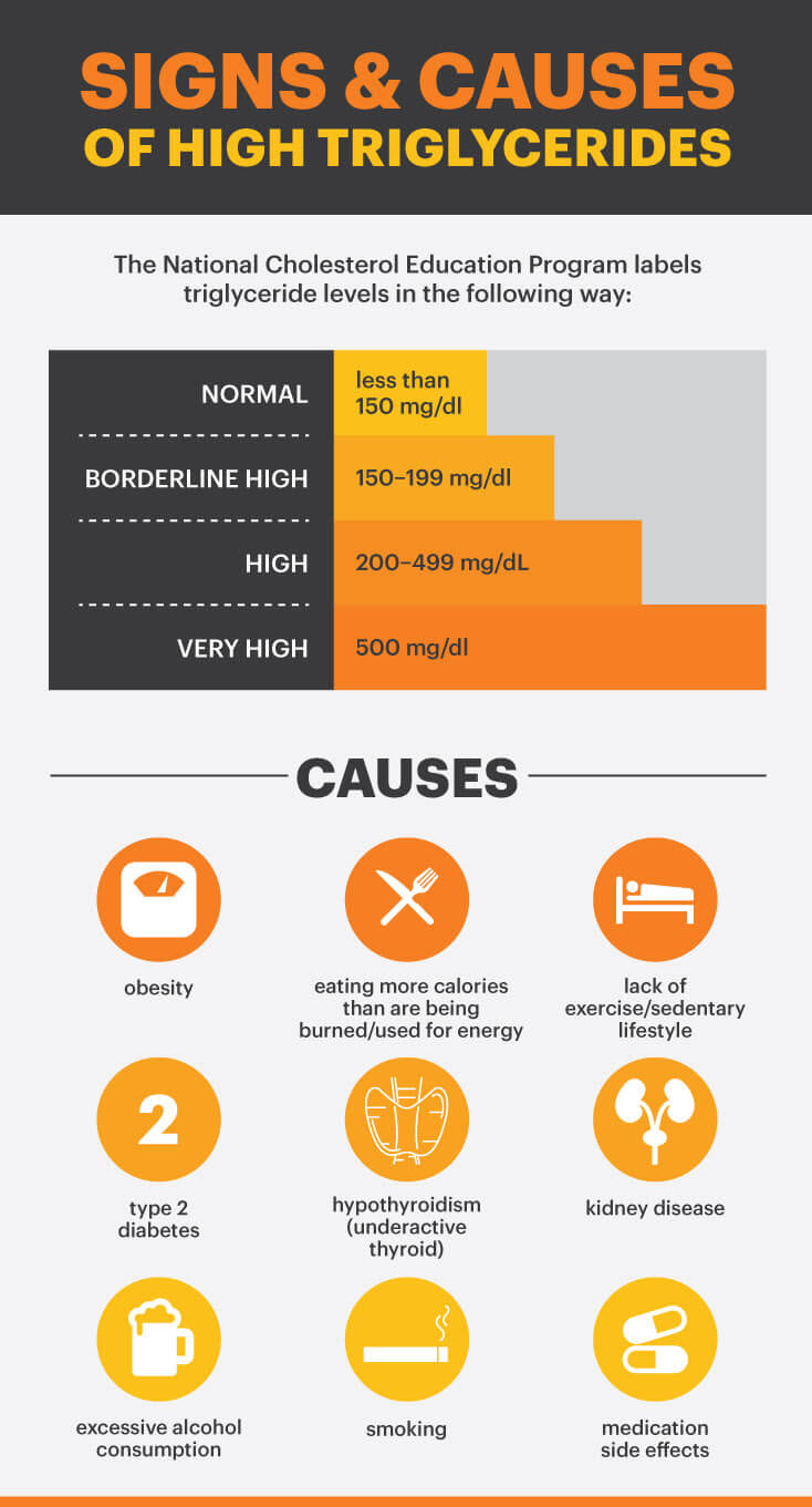 Signs and causes of high triglycerides MKexpressnet