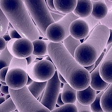 Clostridium Difficile Infections