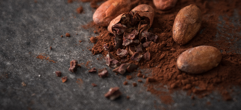 Theobromine MKexpressnet