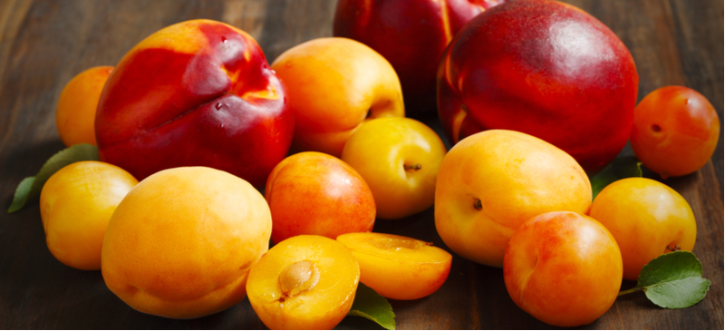 Stone fruit - MKexpress.net