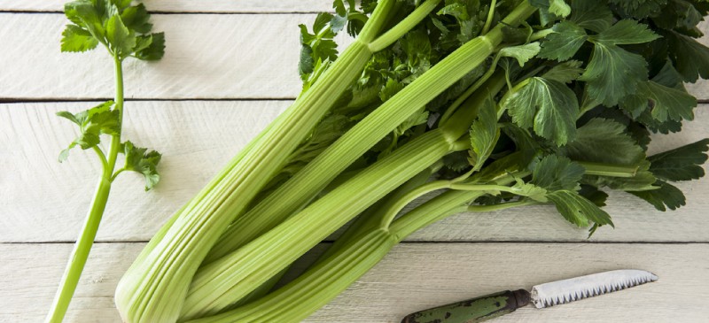 Benefits of celery