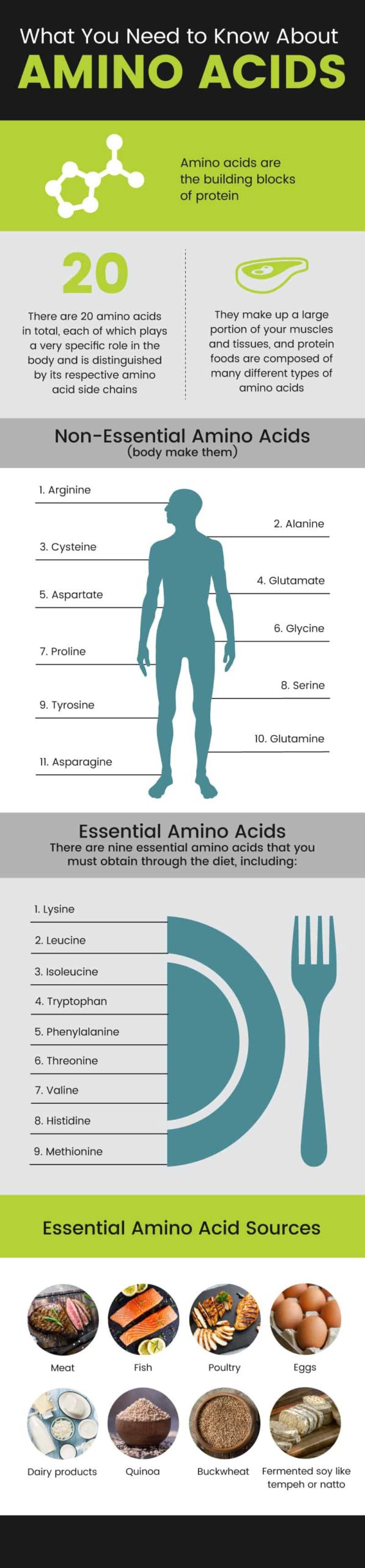 Essential amino acids - MKexpress.net