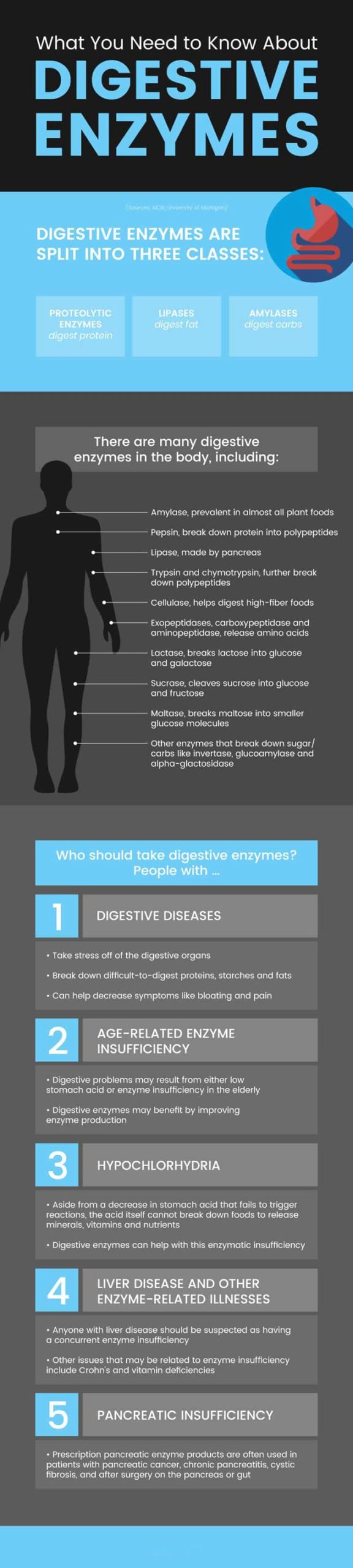 Digestive enzymes - MKexpress.net
