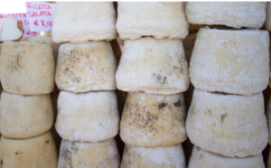 Ricotta Salata