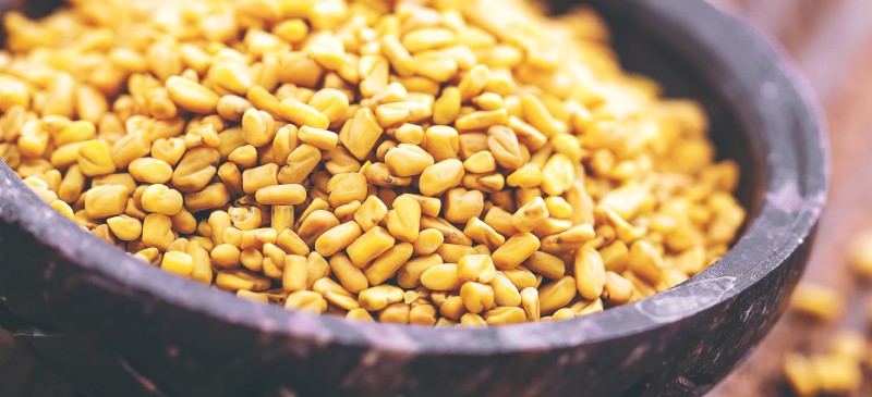 Fenugreek