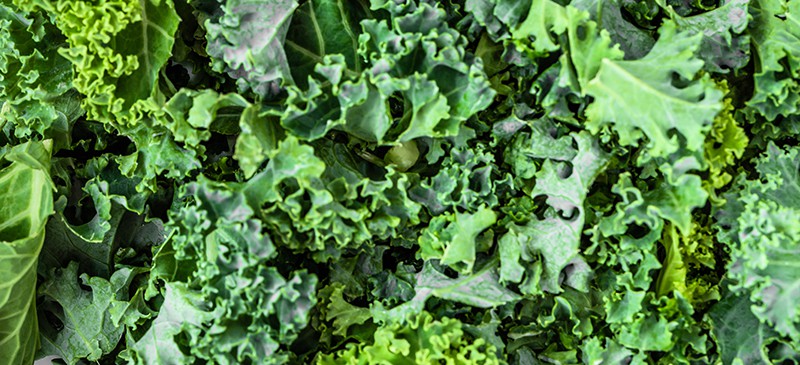 Health benefits of kale