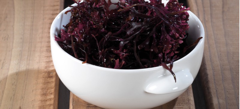 Sea moss benefits
