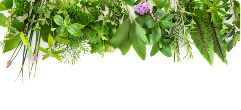 Antiviral herbs