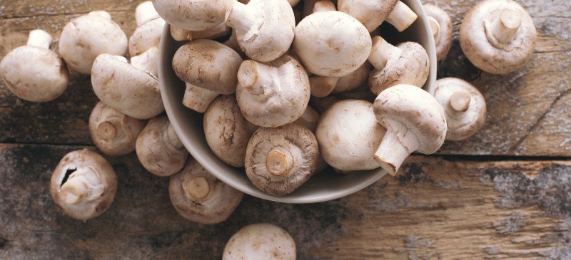 Mushroom Nutrition Benefits