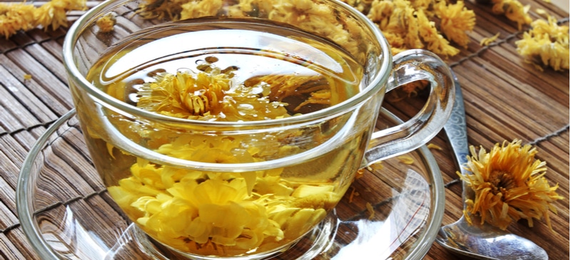 Chrysanthemum Tea Health Benefits