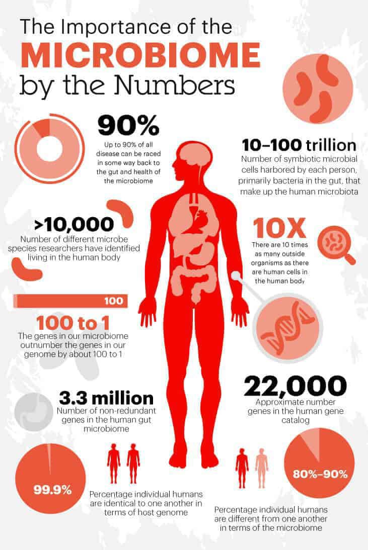 Microbiome InfoGraphic