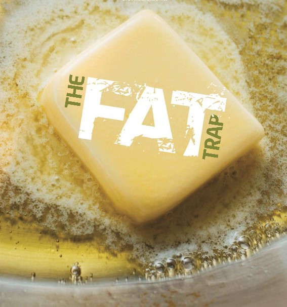 FATS IN YOUR BODY