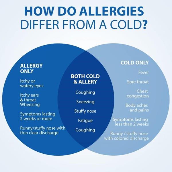 Soothe Seasonal Allergies