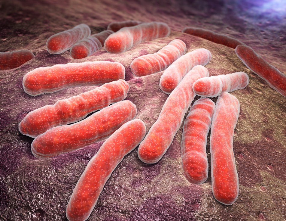 How Tuberculosis Test Is Done