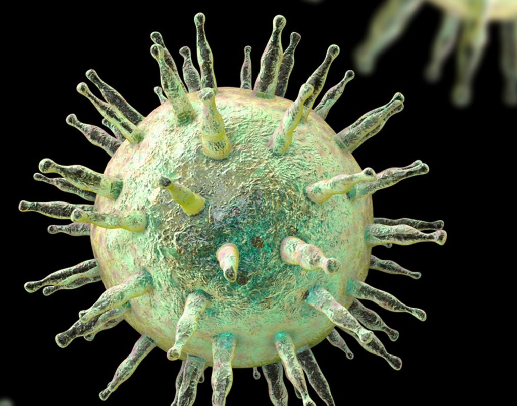 Epstein-Barr Virus