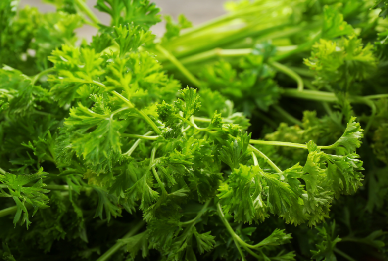 Parsley