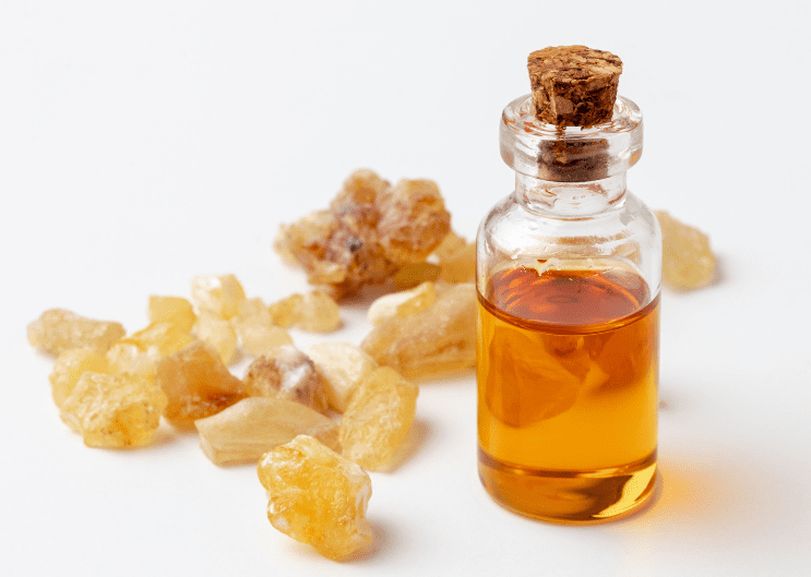 Why Is Aspero Oil Among Top 3 Frankincense Essential oils